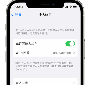 祁连apple服务站点分享iPhone上个人热点丢失了怎么办 