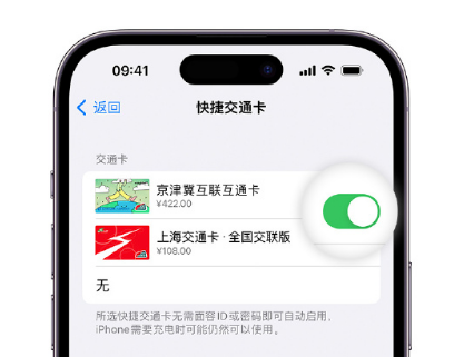 祁连apple维修点分享iPhone上更换Apple Pay快捷交通卡手绘卡面 