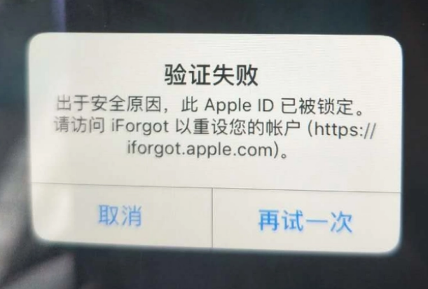 祁连iPhone维修分享iPhone上正常登录或使用AppleID怎么办 