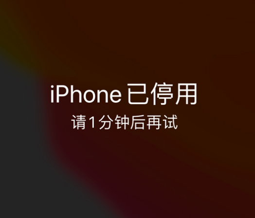 祁连苹果手机维修分享:iPhone 显示“不可用”或“已停用”怎么办？还能保留数据吗？ 