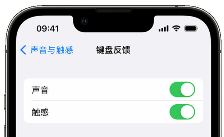 祁连苹果手机维修分享iPhone 14触感键盘使用方法 