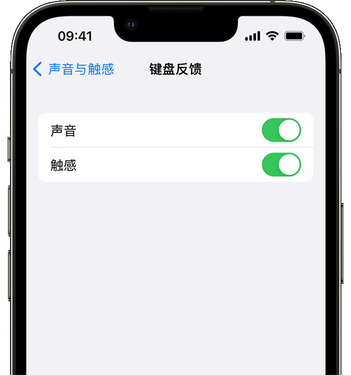 祁连苹果14维修店分享如何在 iPhone 14 机型中使用触感键盘 