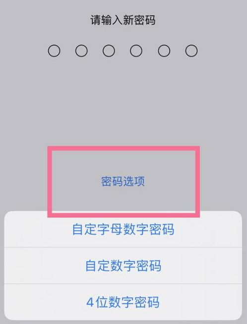 祁连苹果14维修分享iPhone 14plus设置密码的方法 