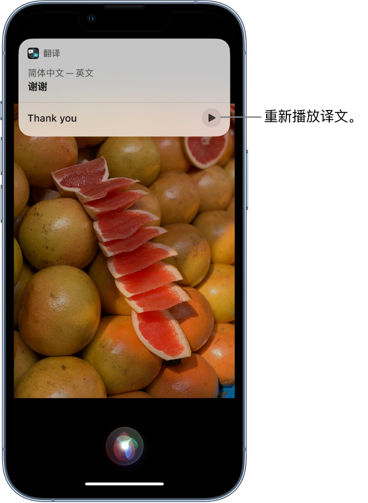 祁连苹果14维修分享 iPhone 14 机型中使用 Siri：了解 Siri 能帮你做什么 