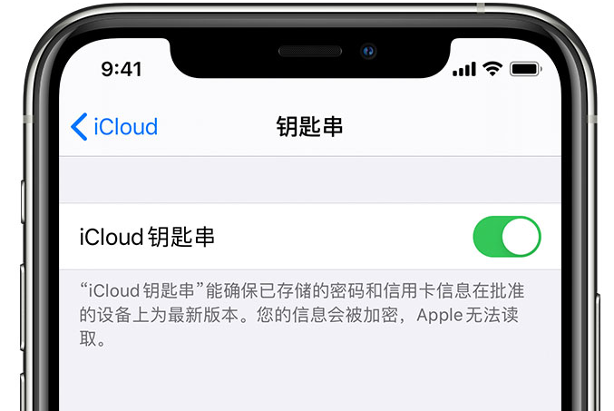 祁连苹果手机维修分享在 iPhone 上开启 iCloud 钥匙串之后会储存哪些信息 