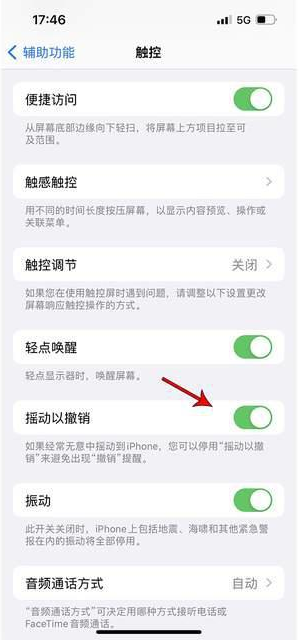 祁连苹果手机维修分享iPhone手机如何设置摇一摇删除文字 